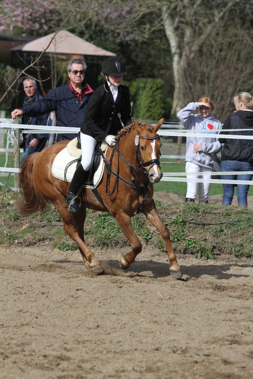 Bild 936 - WBO-Turnier am 9.4.11
